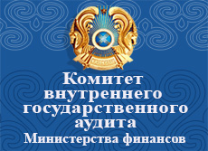 Комитет внутреннего государственного аудита Министерства финансов