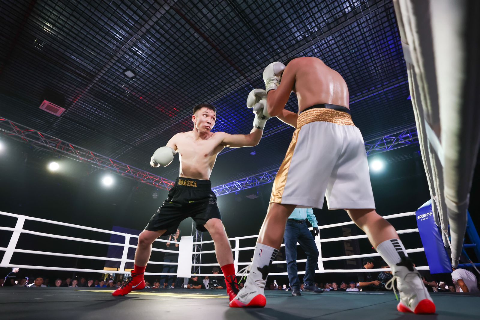 СОБЫТИТЕЛЬНЫЙ ТУРИЗМ - ВЕЧЕР БОЛЬШОГО БОКСА