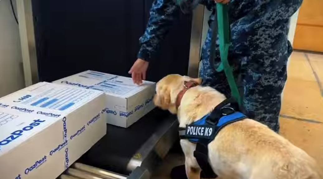 238 правонарушений выявлено за 10 месяцев в ЗКО