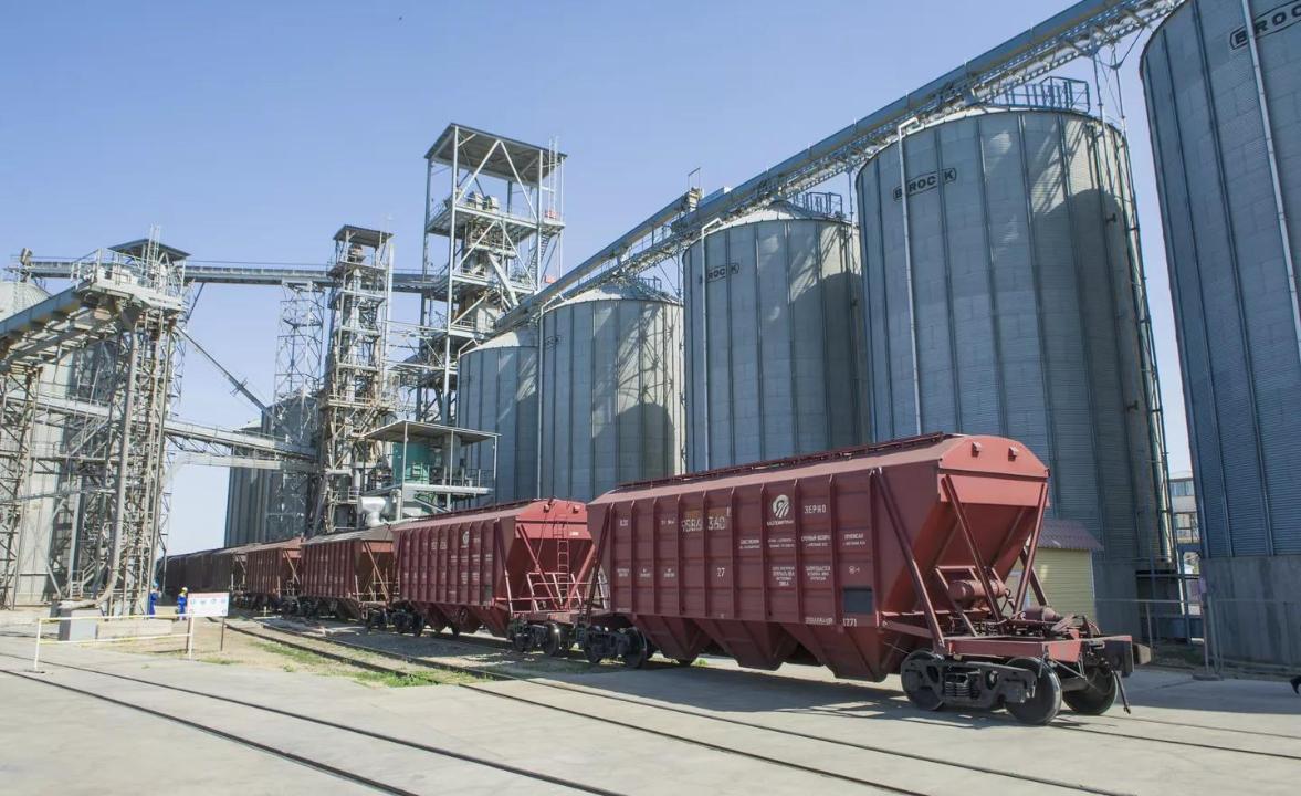 Экспорт зерна нового урожая достиг 7,6 млн тонн: рост на 58%