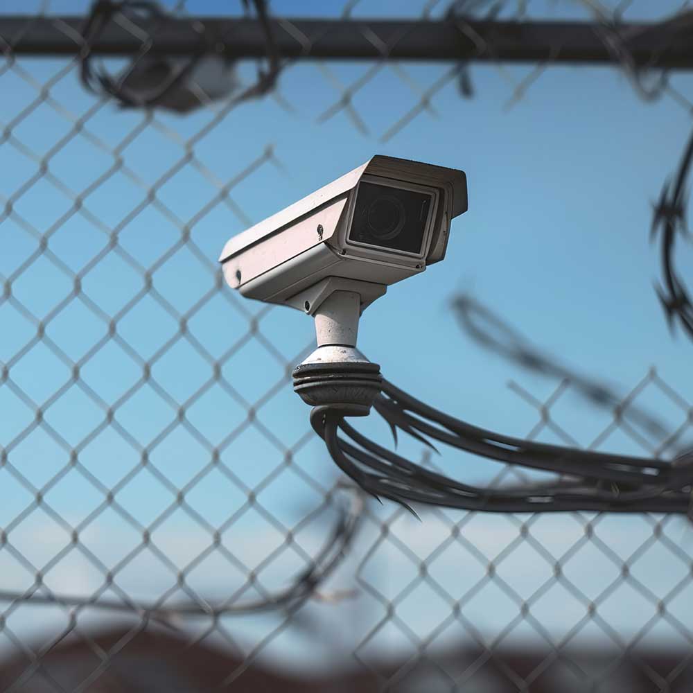 Цифровой контроль как гарантия порядка: новая статья УК усилила дисциплину и сэкономила бюджет
