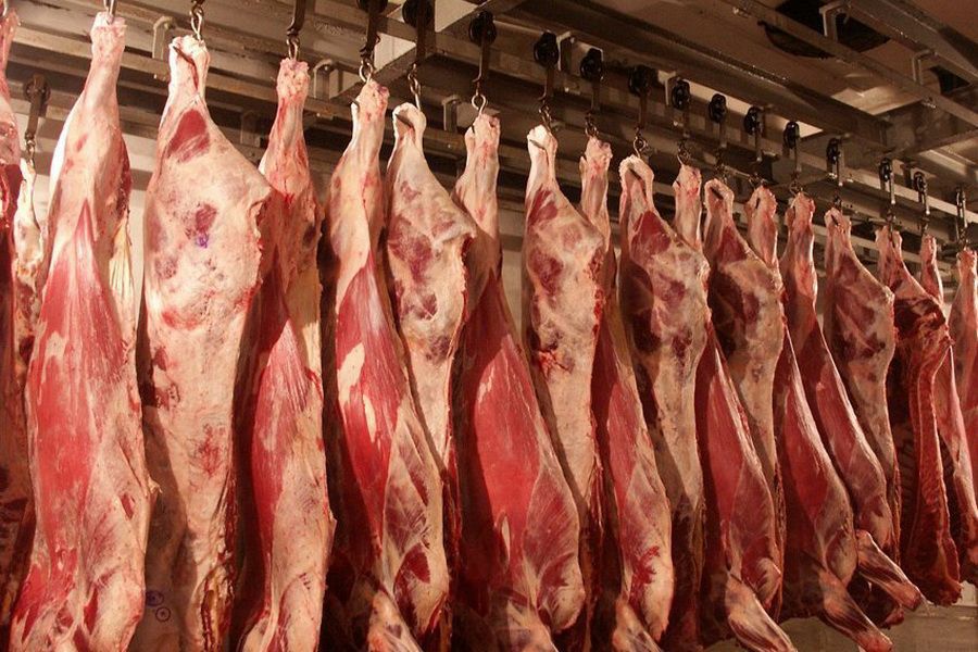 Казахстан укрепляет позиции на международном рынке животноводческой продукции   