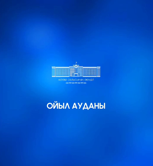 ⚜️ Обзор проделанной работы в Уилском районе за 2025 год