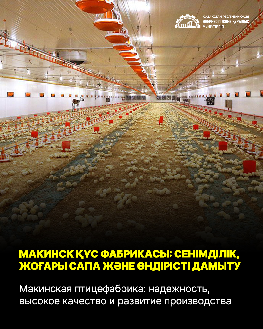 Макинск құс фабрикасы: сенімділік, жоғары сапа және өндірісті дамыту