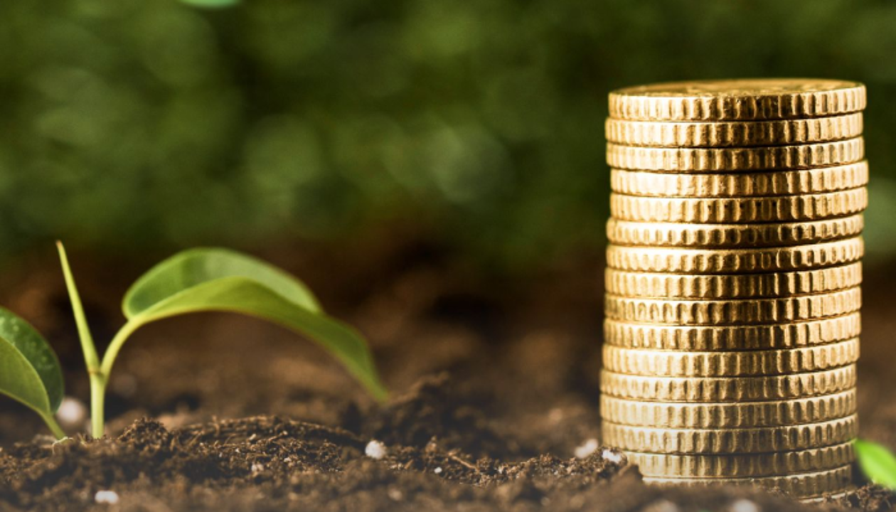 АКК начала прием заявок на субсидирование страховых премий в агросекторе