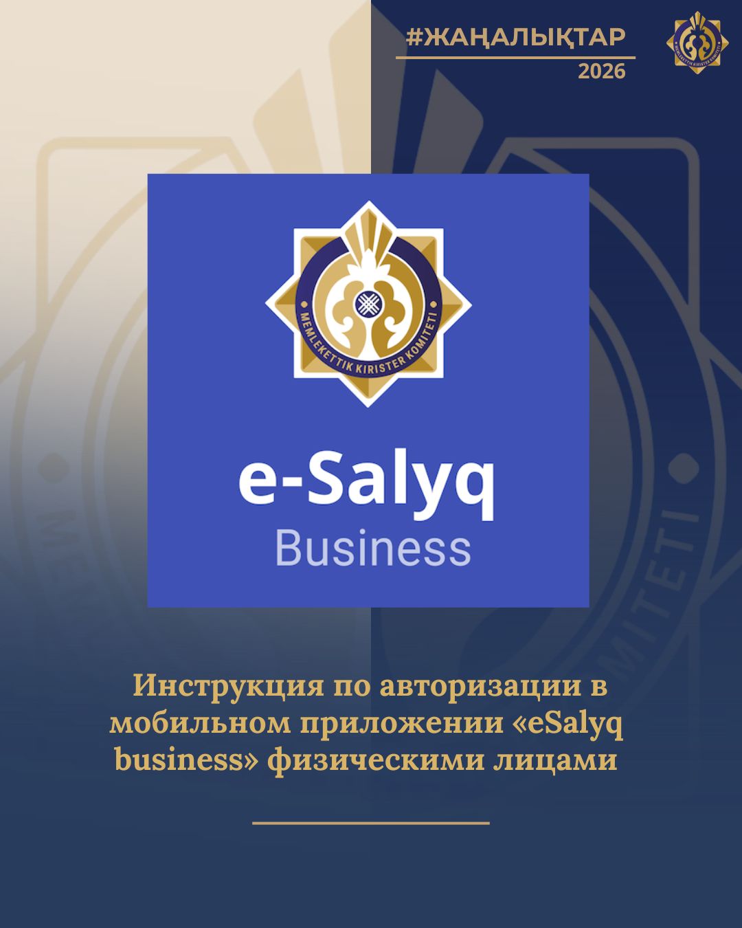 Инструкция по авторизации в мобильном приложении "e-Salyq business" физическими лицами