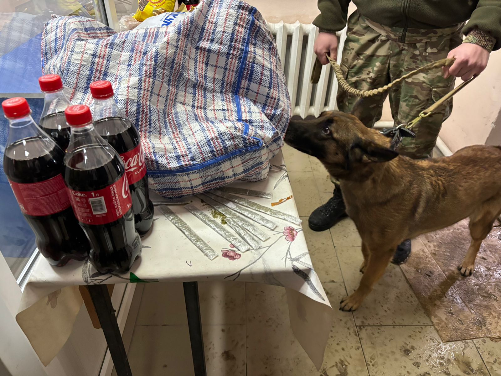 Осужденному в учреждении УИС по Кызылординской области пытались передать наркотики, спрятав их в ремне сумки