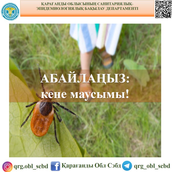 Абайлаңыз: кене маусымы!
