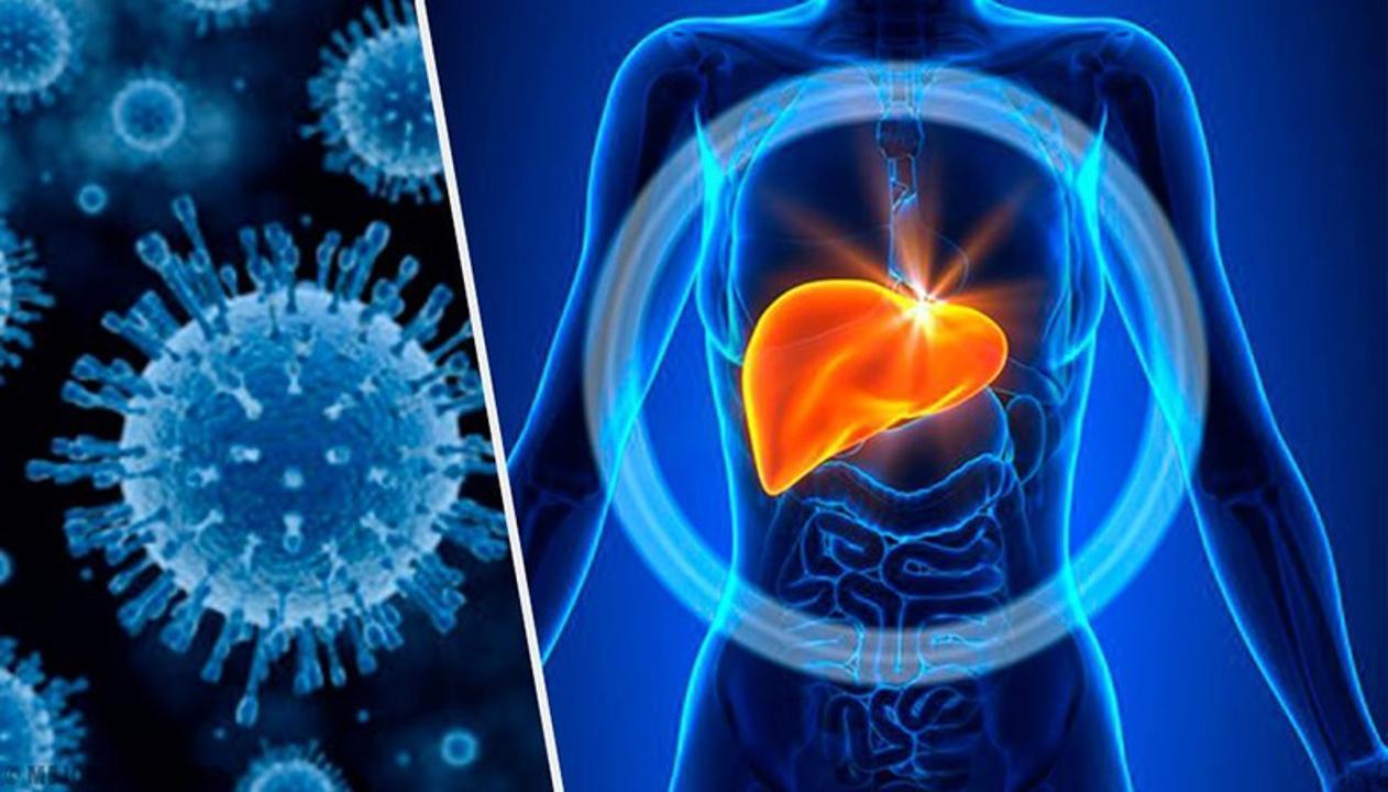 ⚜️Что нужно знать о вирусных гепатитах