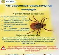 Конго-Крымская геморрагическая лихорадка (ККГЛ)
