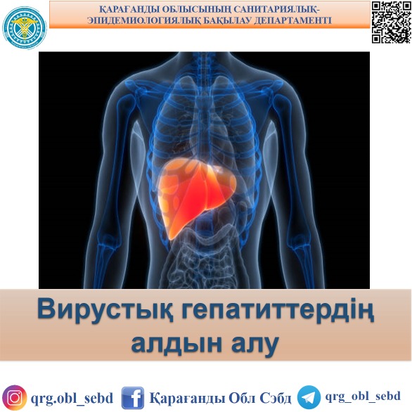 Вирустық гепатиттердің алдын алу